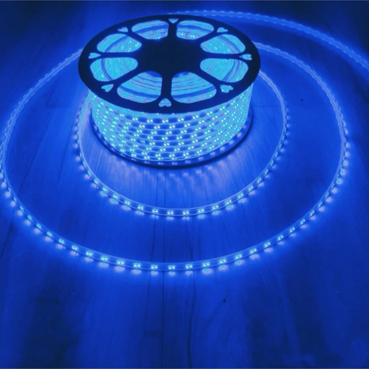 ریسه شلنگی LED دو لاین 5730 تراکم 88 رنگ آبی
