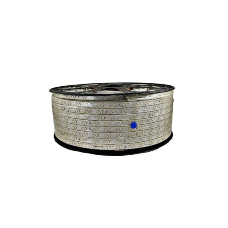 ریسه شلنگی LED دو لاین 5730 تراکم 88 رنگ آبی